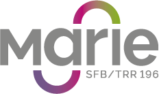 Logo marie